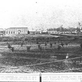 Woodstock Fruit Canning Works, Plumpton