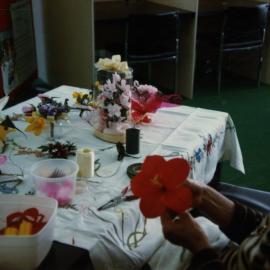 Carnivale and Australian Library Week, 1982