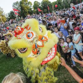 Chinese New Year 2016, Nurragingy Reserve