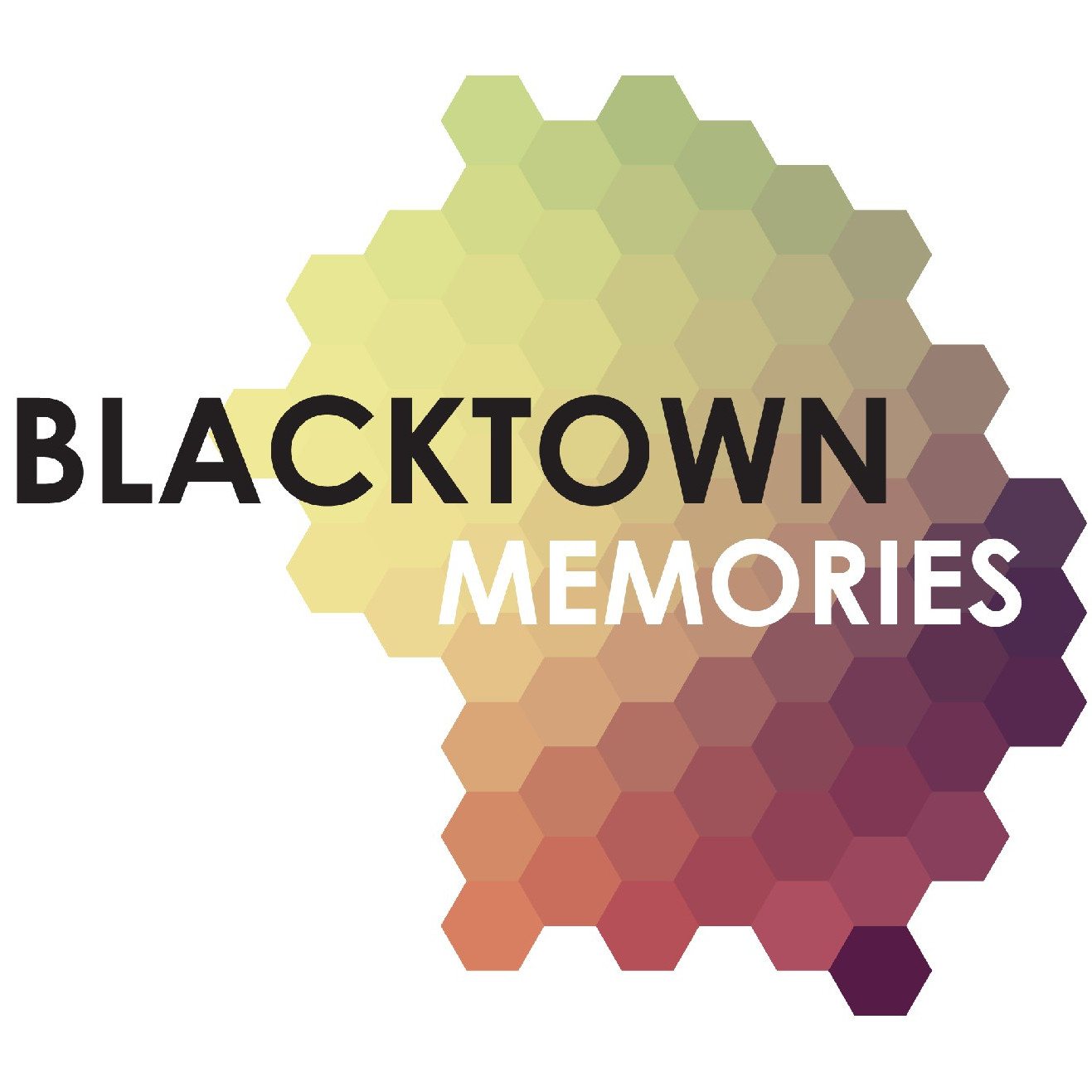 Blacktown Oral History - Shops
