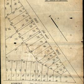 Shire of Blacktown, Davis Road proposed subdivision plan, 1923