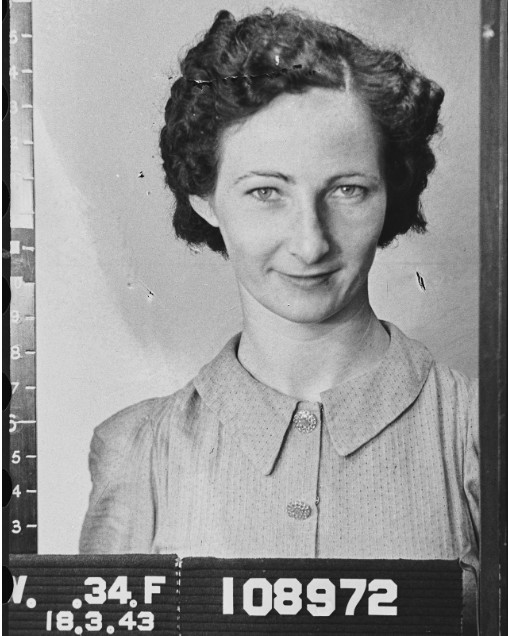 Primrose, Gloria Maria